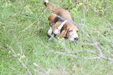 Enlarge photo 66