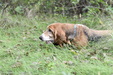Enlarge photo 64