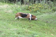 Enlarge photo 59