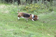 Enlarge photo 58