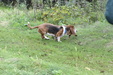 Enlarge photo 57