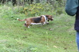 Enlarge photo 56