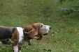 Enlarge photo 55