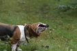Enlarge photo 54