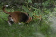 Enlarge photo 53