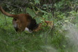Enlarge photo 52
