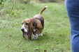 Enlarge photo 47