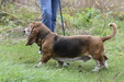 Enlarge photo 45