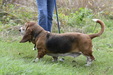 Enlarge photo 43