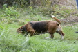 Enlarge photo 44