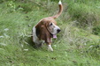 Enlarge photo 41