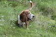 Enlarge photo 40