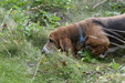 Enlarge photo 39