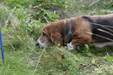 Enlarge photo 38