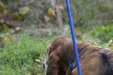 Enlarge photo 36