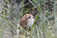 Enlarge photo 35