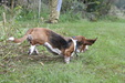 Enlarge photo 31
