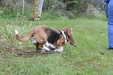 Enlarge photo 29