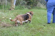Enlarge photo 30