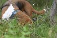 Enlarge photo 28