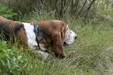 Enlarge photo 26