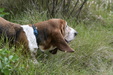 Enlarge photo 25