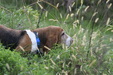 Enlarge photo 21