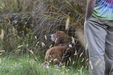 Enlarge photo 19