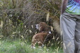 Enlarge photo 18