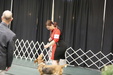 Enlarge photo 174