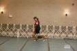 Enlarge photo 172
