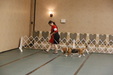 Enlarge photo 169