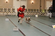 Enlarge photo 165