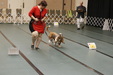 Enlarge photo 164