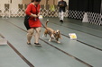 Enlarge photo 163