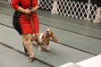 Enlarge photo 159