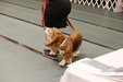Enlarge photo 158