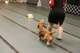 Enlarge photo 156