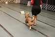 Enlarge photo 157