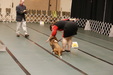 Enlarge photo 153