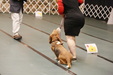 Enlarge photo 152