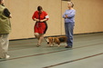 Enlarge photo 149