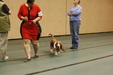 Enlarge photo 145