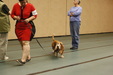 Enlarge photo 144