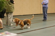 Enlarge photo 143