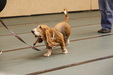 Enlarge photo 137
