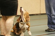 Enlarge photo 135
