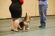 Enlarge photo 134