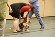 Enlarge photo 132