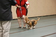 Enlarge photo 130